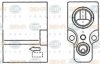BEHR HELLA SERVICE 8UW 351 234-241 Expansion Valve, air conditioning